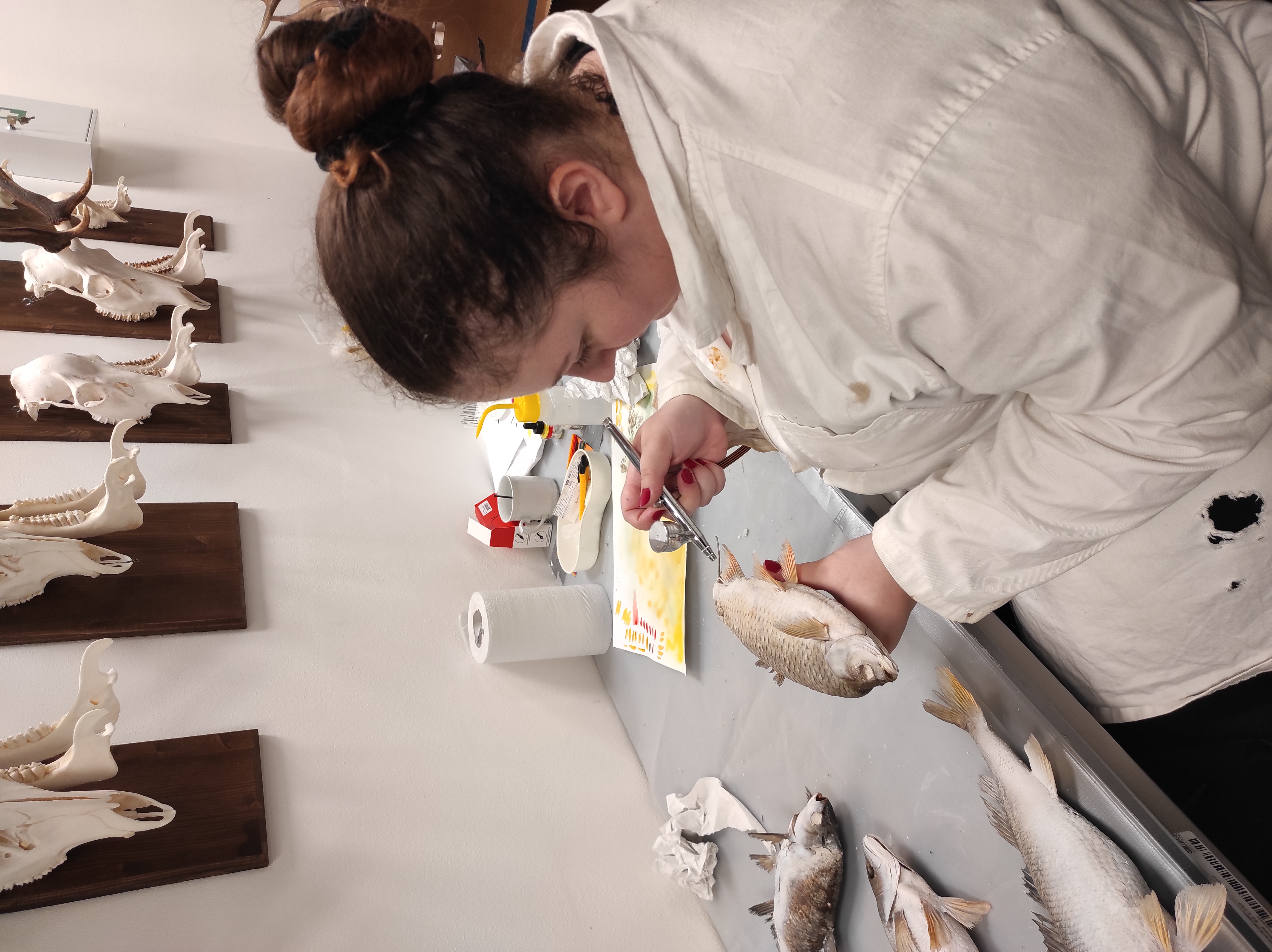 Airbrush – proces práce